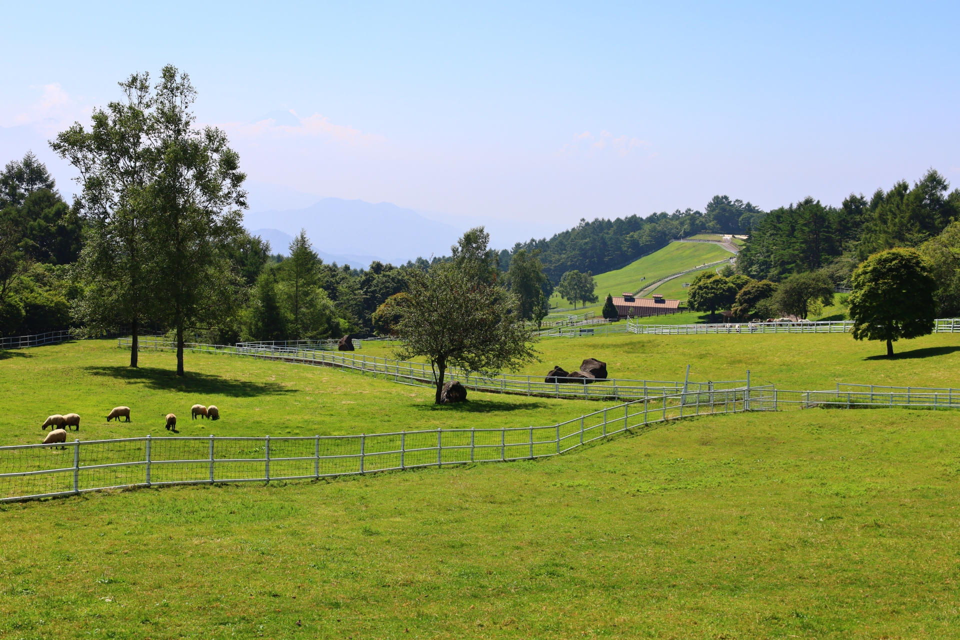 夏の山梨・小淵沢