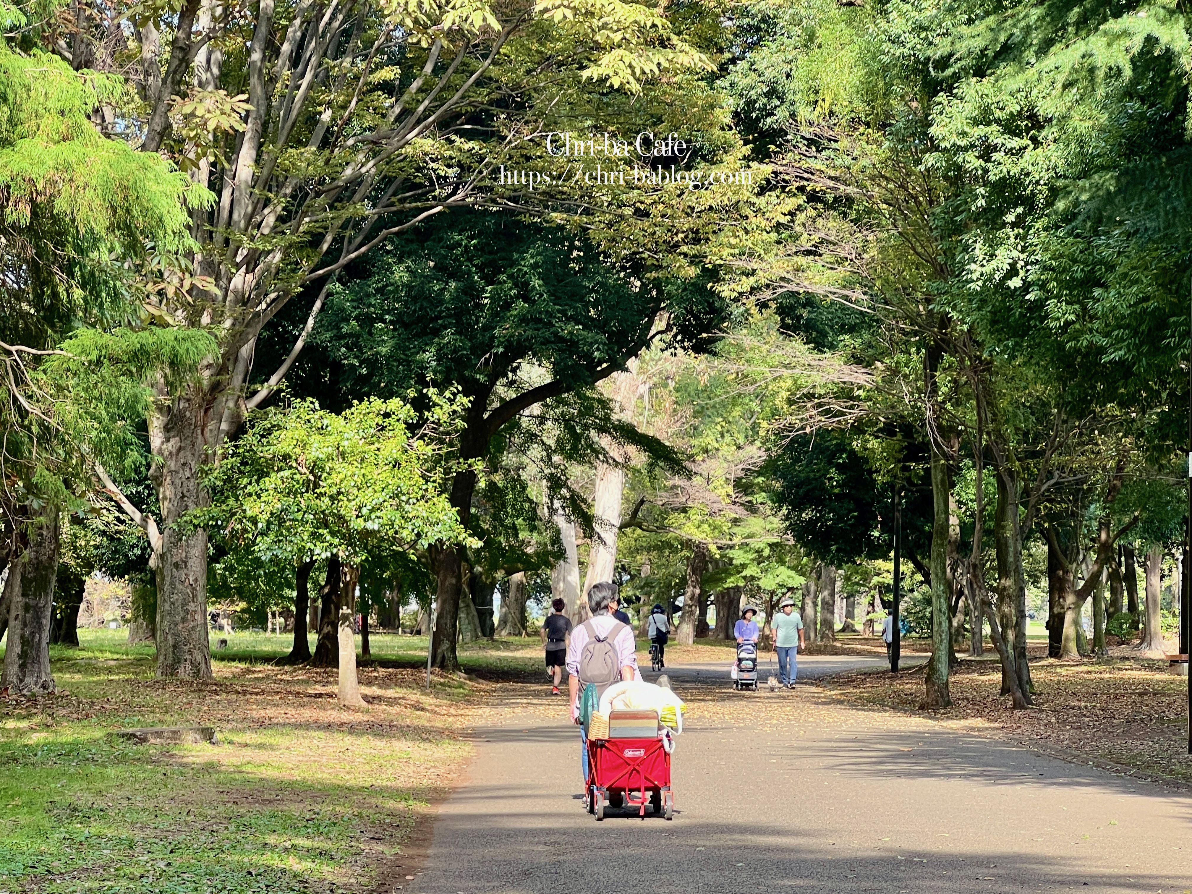 小金井公園でバーベキュー・国民の権利