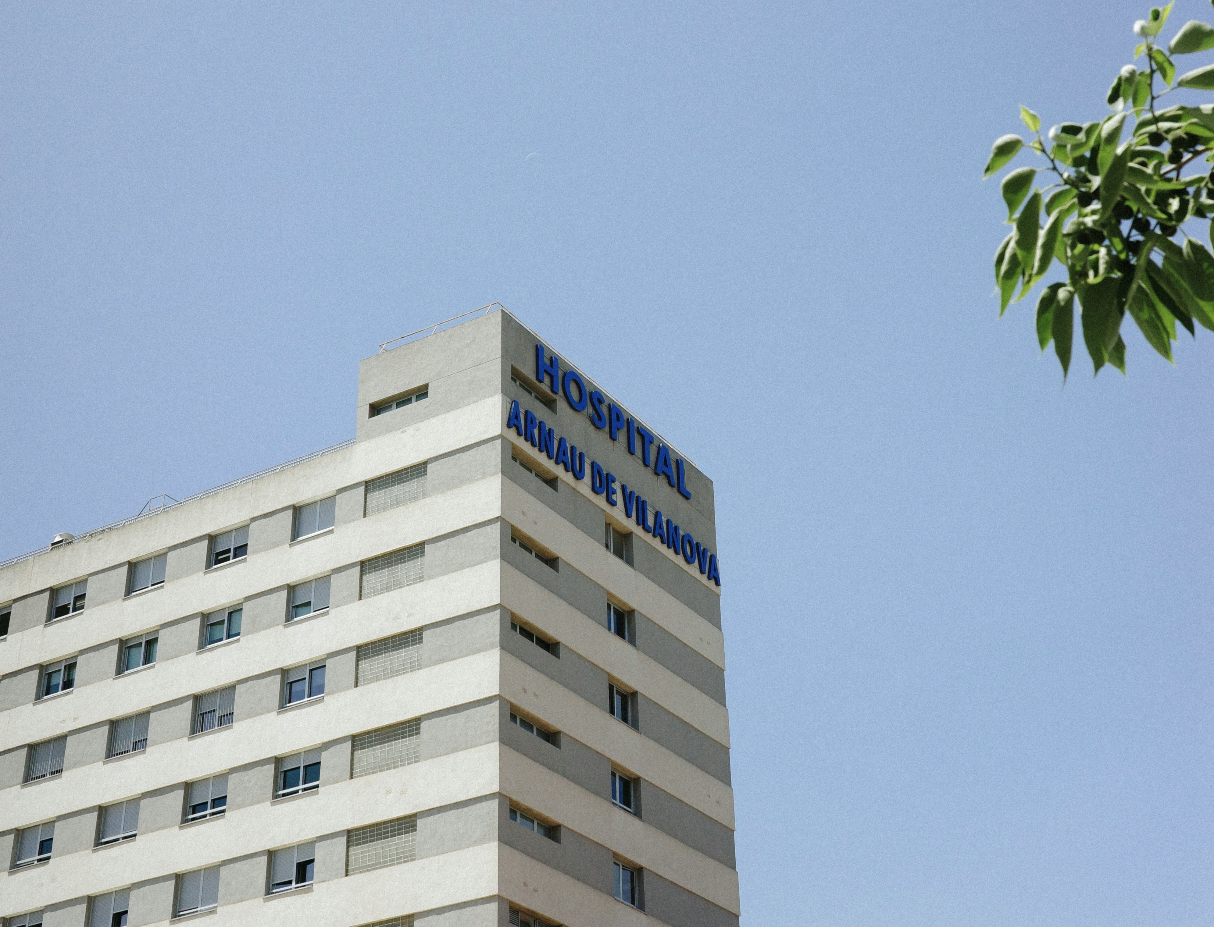 歯医者に胃カメラ、病院漬けの休日